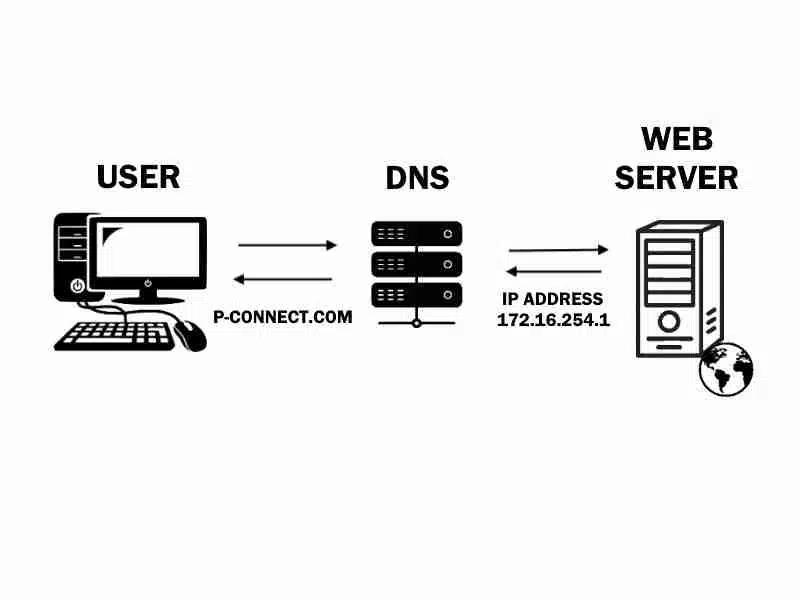 Domains & DNS